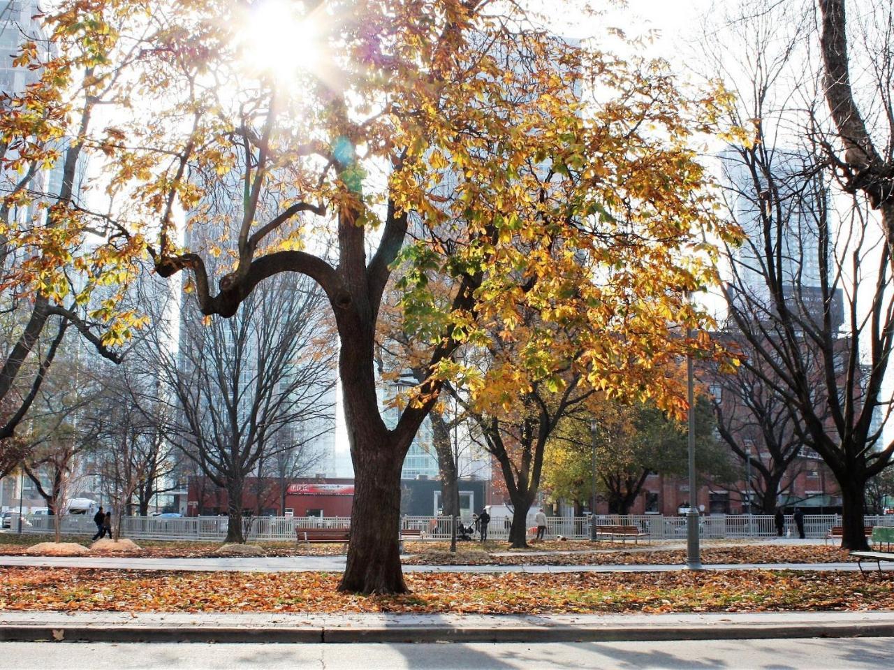 Хостел The Clarence Park Торонто Экстерьер фото